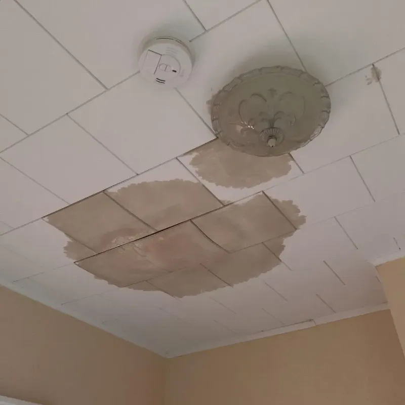 Ceiling Water Damage Repair in Scott, LA